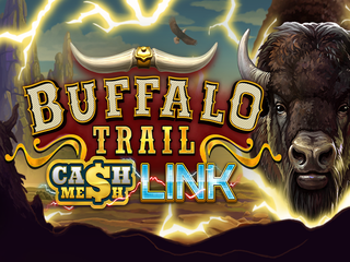 Buffalo Trail - Cash Mesh LINK