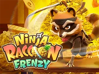 Ninja Raccoon Frenzy 