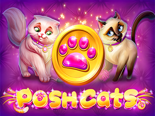 Posh Cats