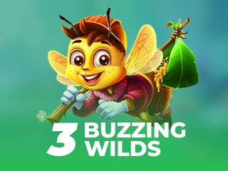 3 Buzzing Wilds